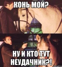Конь мой? Ну и кто тут неудачник?!