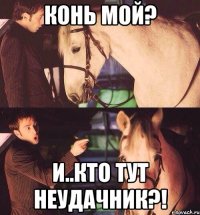 Конь мой? И..кто тут неудачник?!