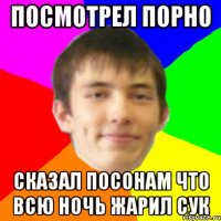 ПОСМОТРЕЛ ПОРНО сказал посонам что всю ночь жарил сук