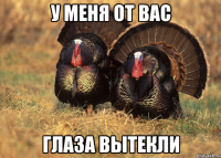 У меня от вас Глаза вытекли