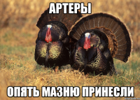 Артеры Опять мазню принесли