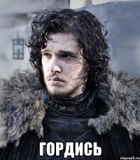  гордись