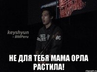  Не для тебя мама орла растила!
