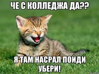 че с колледжа да?? я там насрал пойди убери!