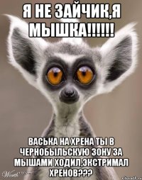 Я не зайчик,я мышка!!!!!! Васька на хрена ты в Чернобыльскую зону за мышами ходил,экстримал хренов???