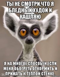Ты не смотри,что я бледный худой и кашляю Я на многое способен,если меня обогреть,откормить и прижать к теплой стенке.