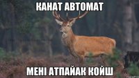 Канат автомат менi атпайак койш