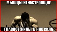 МЫШЦЫ НЕНАСТРОЯЩИЕ ГЛАВНОЕ ЖИЛЫ, В НИХ СИЛА