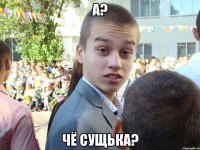 А? Чё сущька?