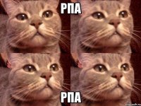 рпа рпа
