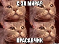 С За Мира? Красавчик