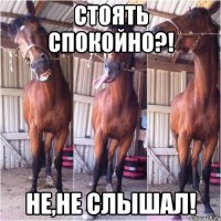 Стоять спокойно?! Не,не слышал!