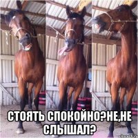  Стоять спокойно?Не,не слышал?