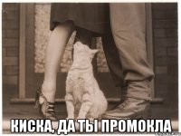  киска, да ты промокла