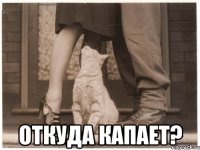  откуда капает?