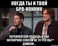 Когда ты и твой бро-конник Перенапугали лошадь,и она натворила совсем не то что вы думали...