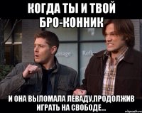 Когда ты и твой бро-конник И она выломала леваду,продолжив играть на свободе...