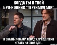 Когда ты и твой бро-конник "перенапугали" И она выломала леваду,продолжив играть на свободе...