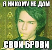 Я никому не дам Свои брови