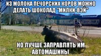 Из молока печорских коров можно делать шоколад "Милки-вэй" Но лучше заправлять им автомашины