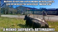 молоко печорских коров можно использовать для производства шоколада "Милки-вэй" а можно заправить автомашину