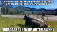 молоко печорских коров можно использовать для производства шоколада "Милки-вэй" или заправить им автомашину