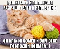 решителен и полон сил разрушителен и непобедим он альфа сомец и сам себе господин кошара+1