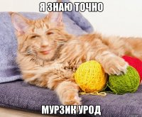 я знаю точно мурзик урод