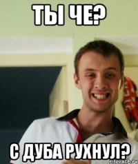 Ты че? С дуба рухнул?