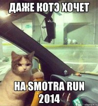 Даже Котэ хочет на Smotra run 2014