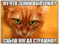 Ну что зенки выпучил? Сцыш когда страшно?