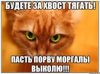Будете за хвост тягать! Пасть порву моргалы выколю!!!