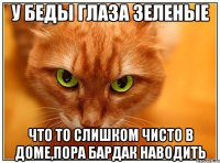 У беды глаза зеленые Что то слишком чисто в доме,пора бардак наводить