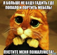 Я больше не буду гадить где попало и портить мебель! Пустите меня пожалуйста!