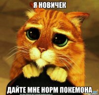 я новичек дайте мне норм покемона