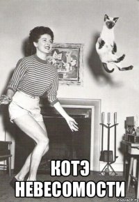  котэ невесомости