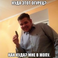 Куда этот огурец? КАК КУДА? МНЕ В ЖОПУ.