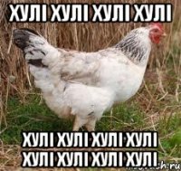 хулі хулі хулі хулі хулі хулі хулі хулі хулі хулі хулі хулі