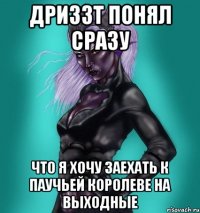 Дриззт понял сразу что я хочу заехать к Паучьей Королеве на выходные