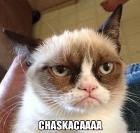 chaskacaaaa