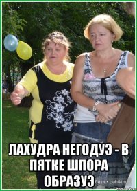  Лахудра негодуэ - в пятке шпора образуэ