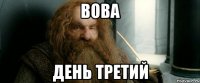 Вова День третий
