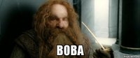  Вова