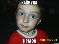 Хайбула крыса