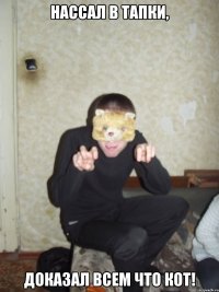 Нассал в тапки, доказал всем что кот!