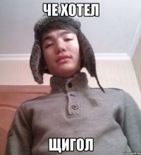 ЧЕ ХОТЕЛ ЩИГОЛ