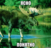 ясно понятно