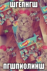 шгепнгш пгшпиолинш