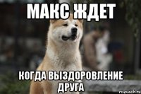 Макс ждет Когда выздоровление друга