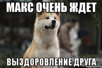 Макс очень ждет выздоровление друга